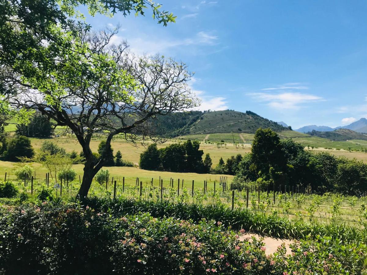 Winelands guest room Stellenbosch Buitenkant foto